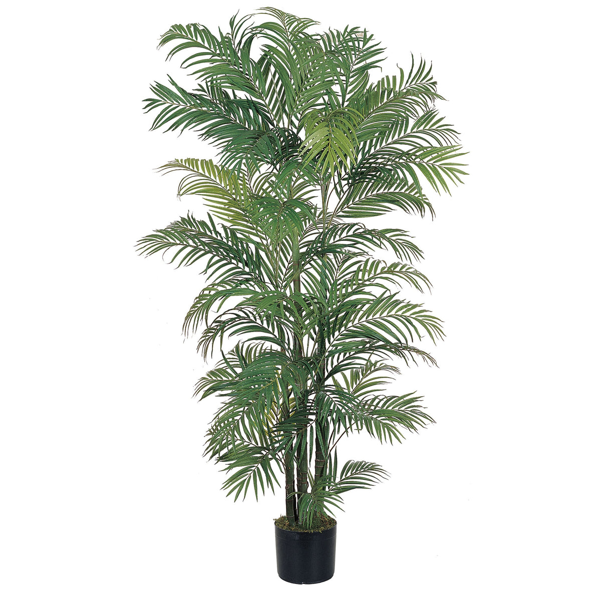 6' Areca Palm Tree x 8 w/1464 Lvs by Nearly Natural in Green