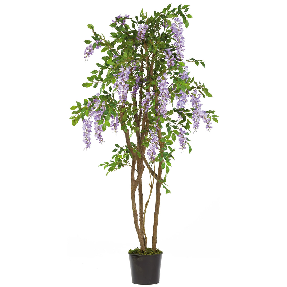 5' Wisteria Tree w/1354 Lvs & 26 Cluster Flrs Purple by Nearly Natural in Purple
