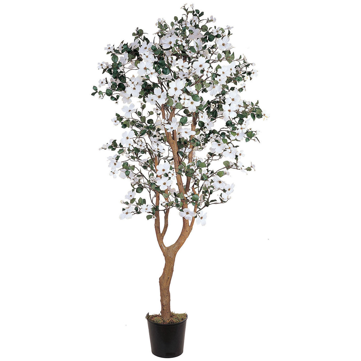 5' Dogwood Tree w/1140 Lvs & 285 Flrs by Nearly Natural in White