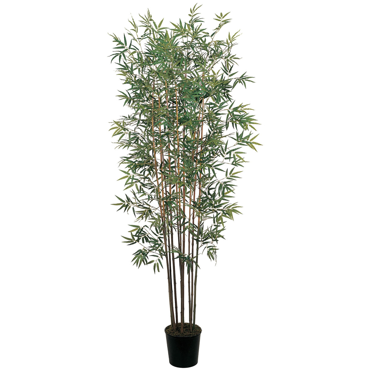 6'  Mini Bamboo Tree x 10 w/2520 Lvs by Nearly Natural in Green
