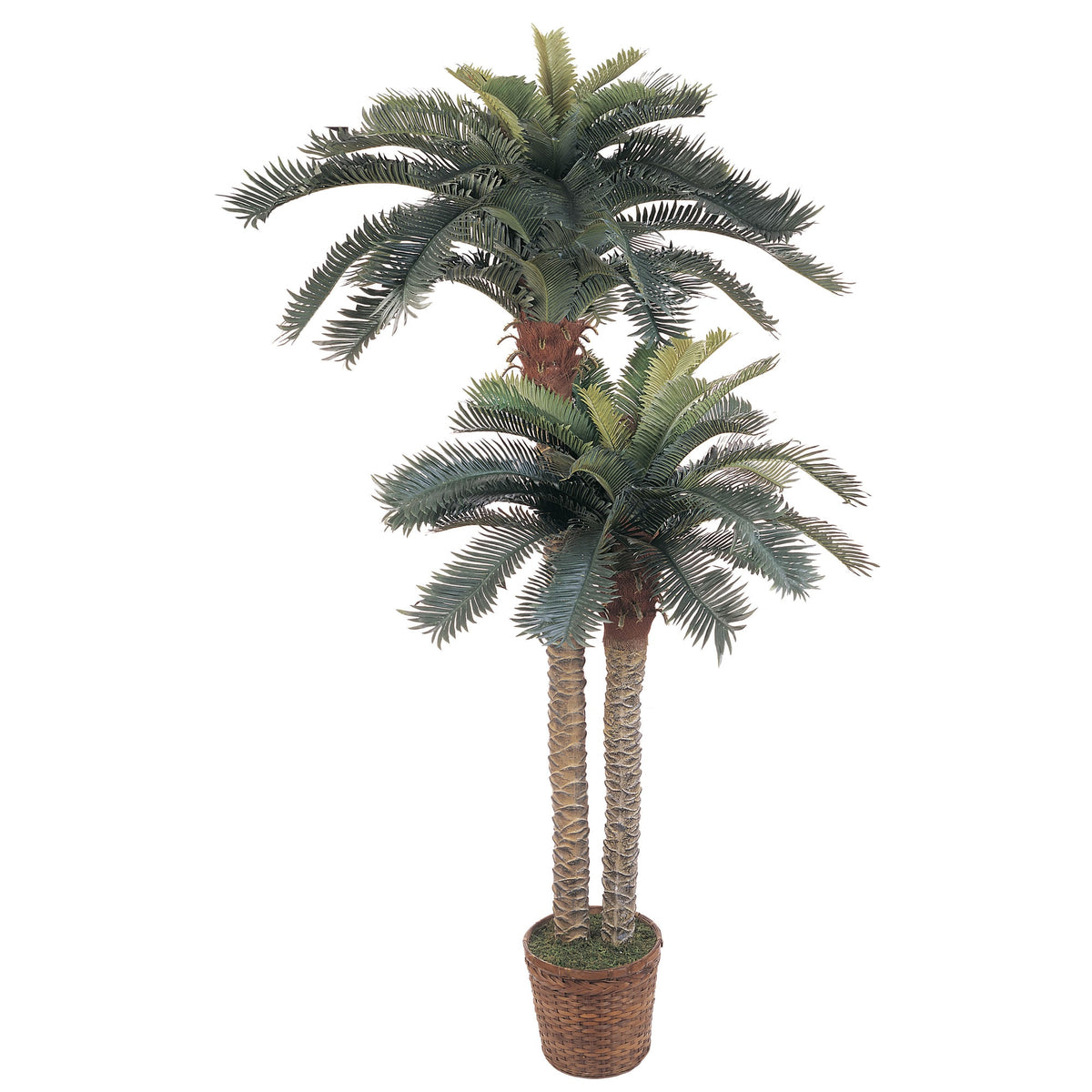 6' and 4' Double Potted Sago Palm Silk Tree by Nearly Natural in Green