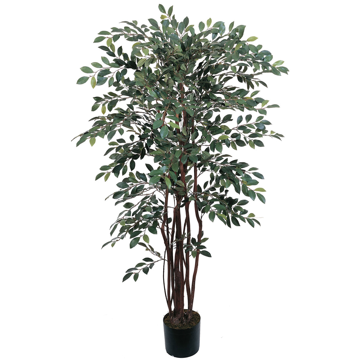 4' Ruscus Tree w/1461 Lvs by Nearly Natural in Green