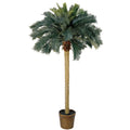 6' Sago Palm Tree w/50 Lvs by Nearly Natural in Green