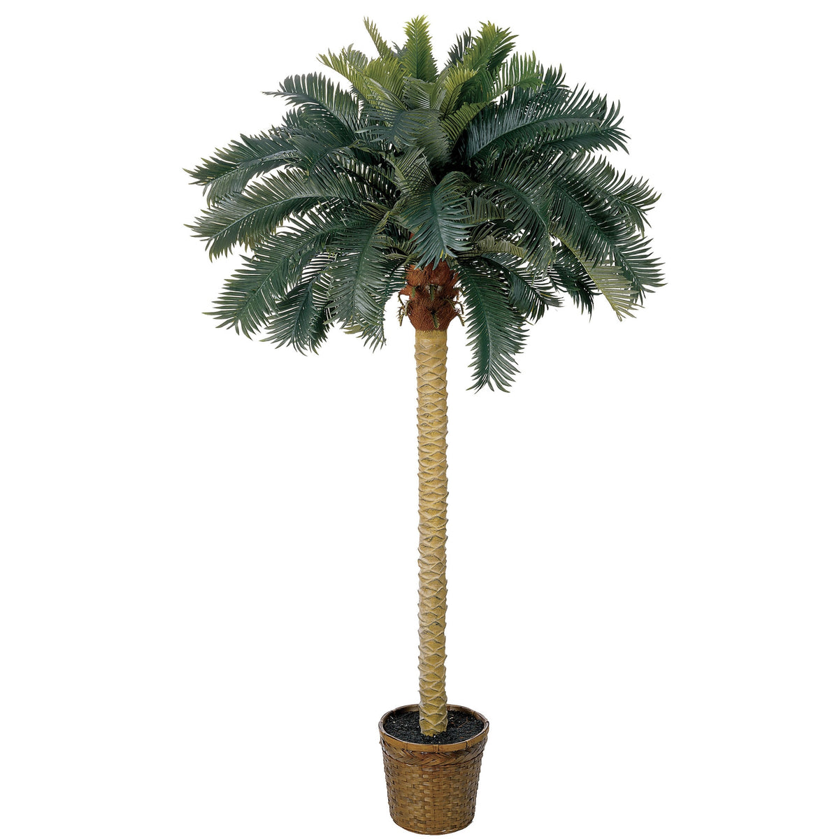 6' Sago Palm Tree w/50 Lvs by Nearly Natural in Green