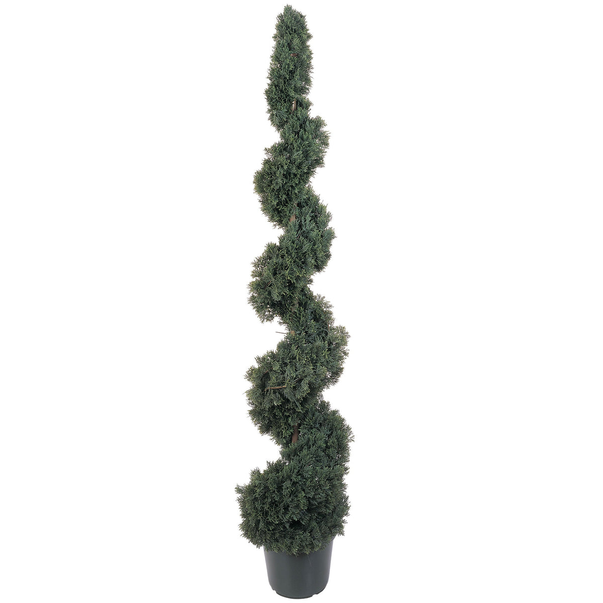 5' Cedar Spiral Tree w/1492 Lvs by Nearly Natural in Green