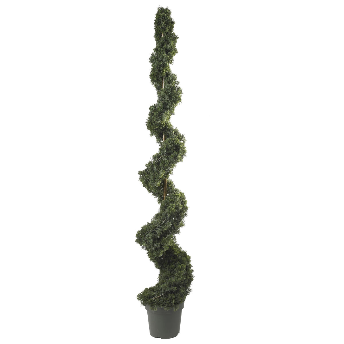 6' Cedar Spiral Tree w/1808 Lvs by Nearly Natural in Green