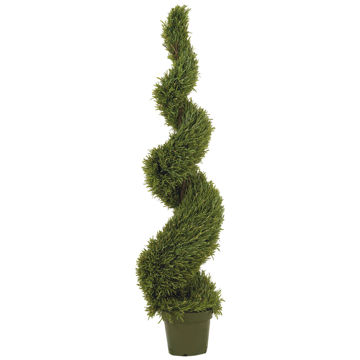 5' Rosemary Spiral Tree w/2184 Lvs by Nearly Natural in Green