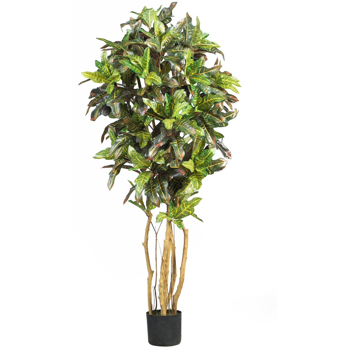 5' Croton Tree w/300 Lvs by Nearly Natural in Green