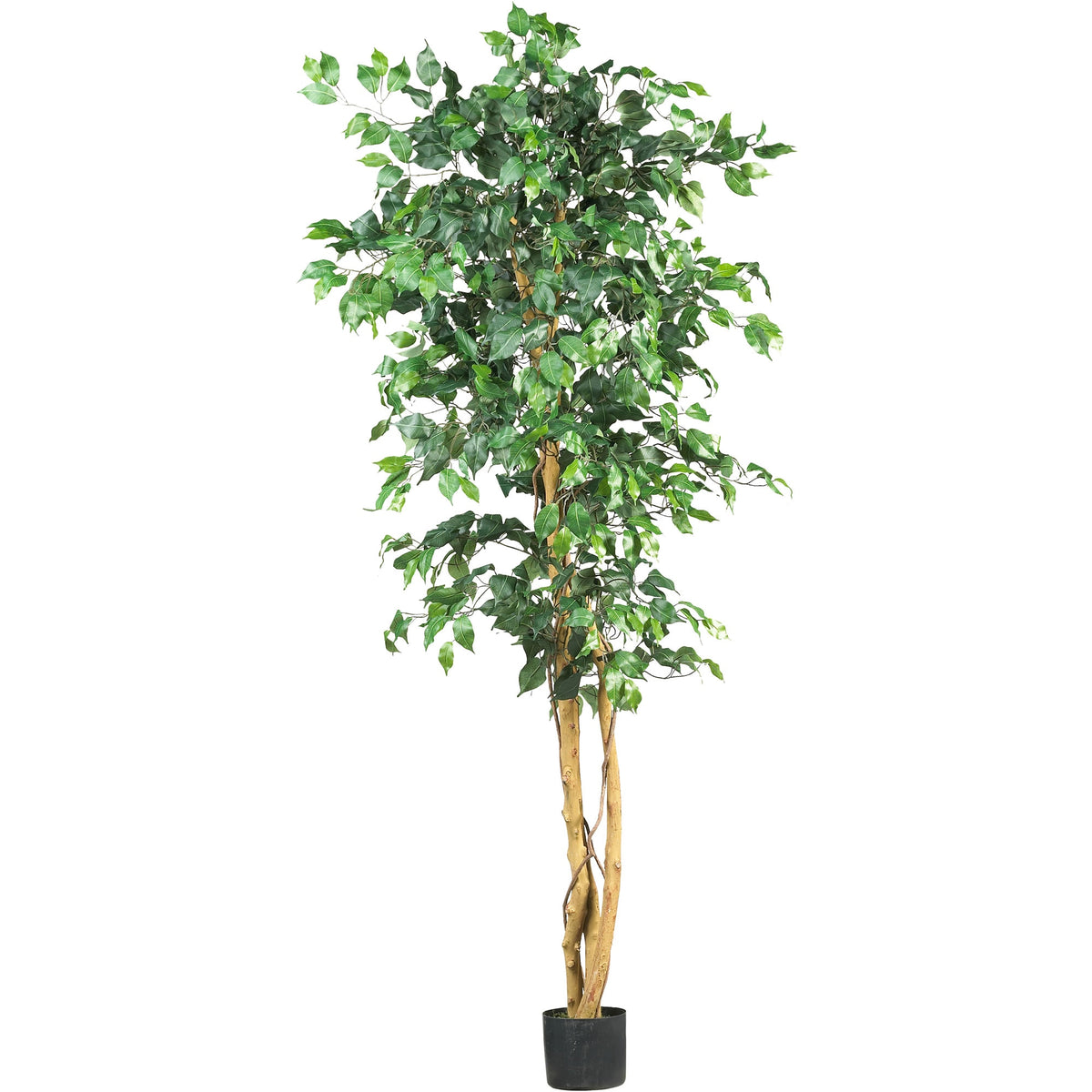 6' Ficus Tree x 3 w/1008 Lvs by Nearly Natural in Green