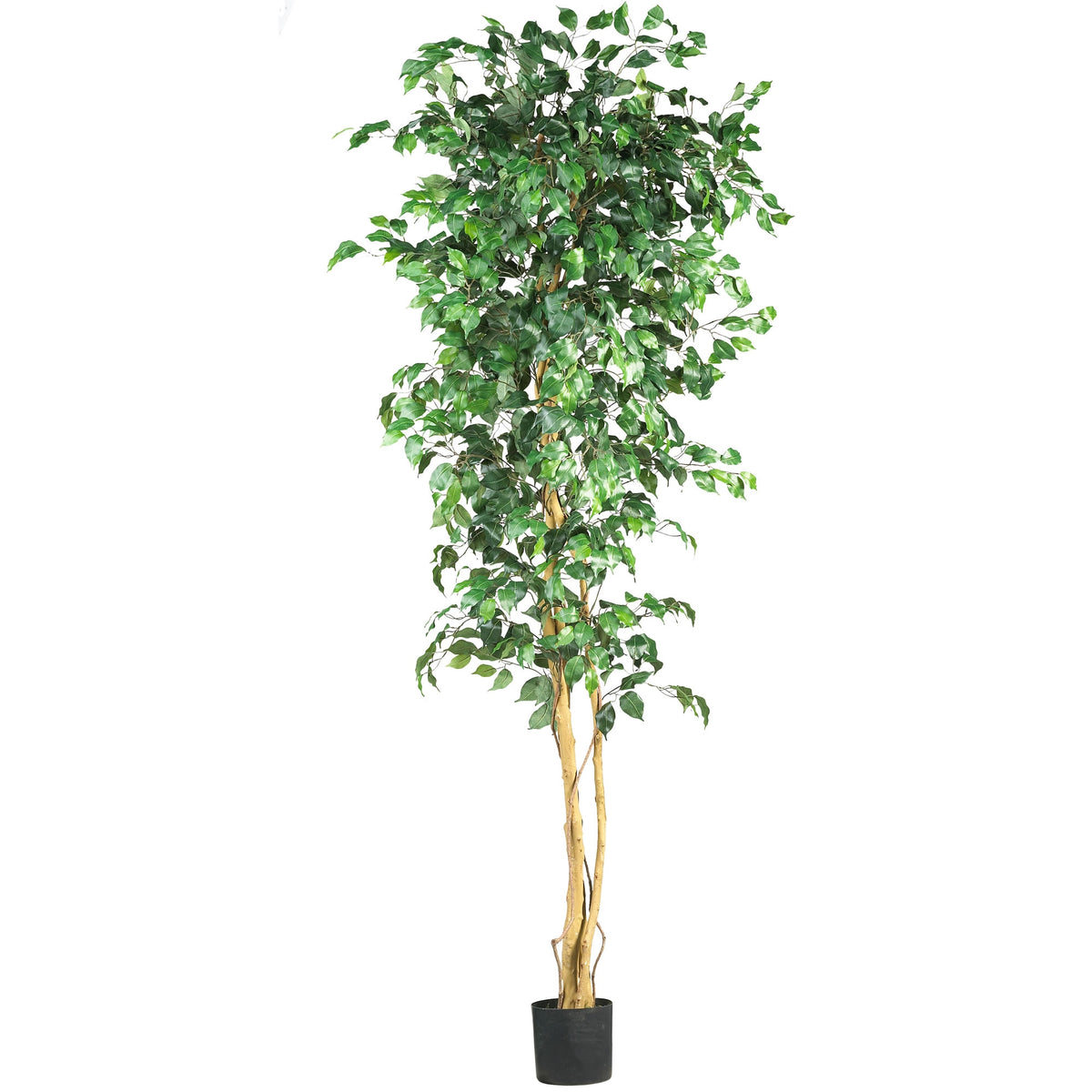 7' Ficus Tree x 3 w/1260 Lvs by Nearly Natural in Green