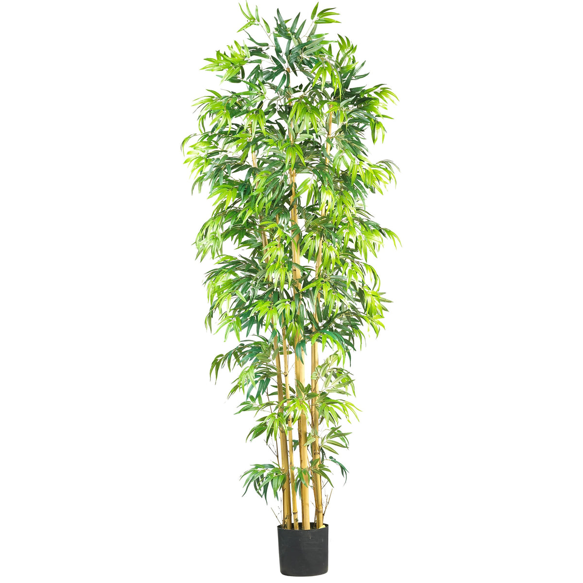 7' Multi Bambusa Bamboo Tree w/2275 Lvs by Nearly Natural in Green