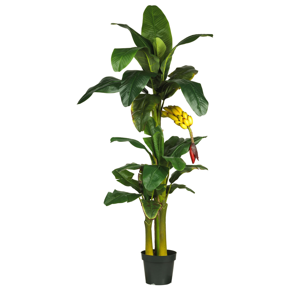 6' Triple Stalk Banana Tree by Nearly Natural in Green