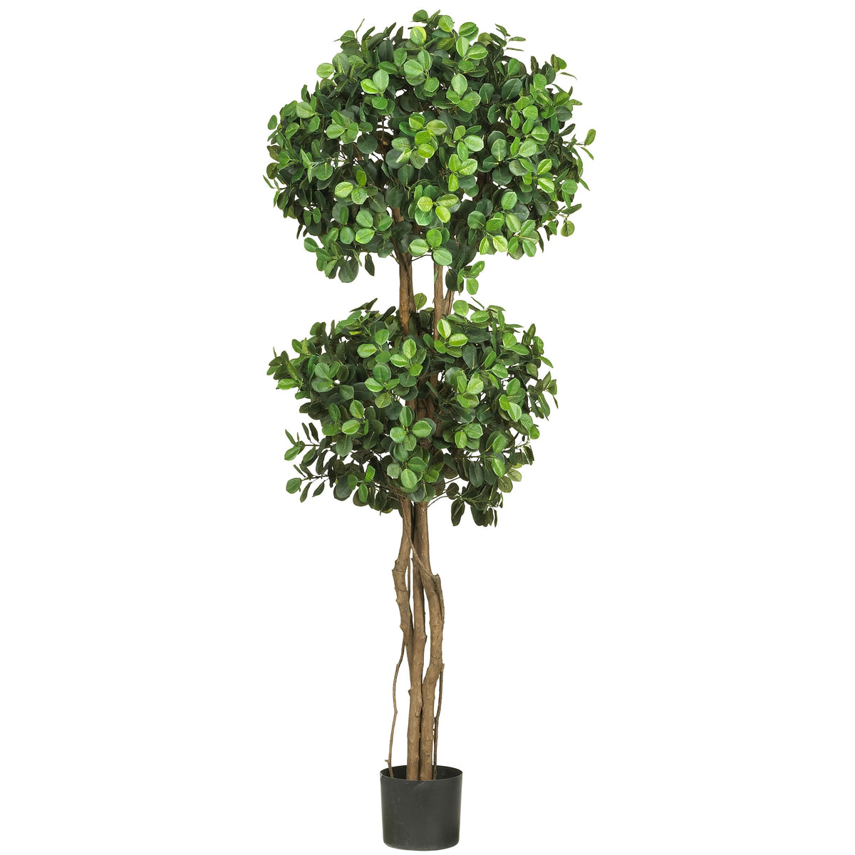 5.5' Eucalyptus Double Ball Topiary Tree w/1989 Lvs by Nearly Natural in Green