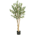 5' Olive Tree w/1380 Lvs by Nearly Natural in Green