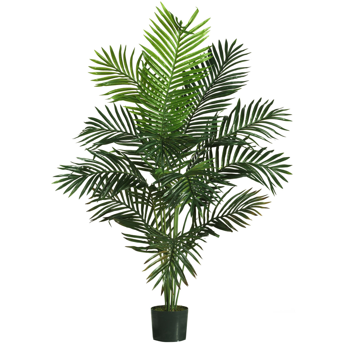 5' Paradise Palm Tree w/12 Lvs by Nearly Natural in NA