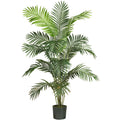 6' Paradise Palm Tree w/13 Lvs by Nearly Natural in Green