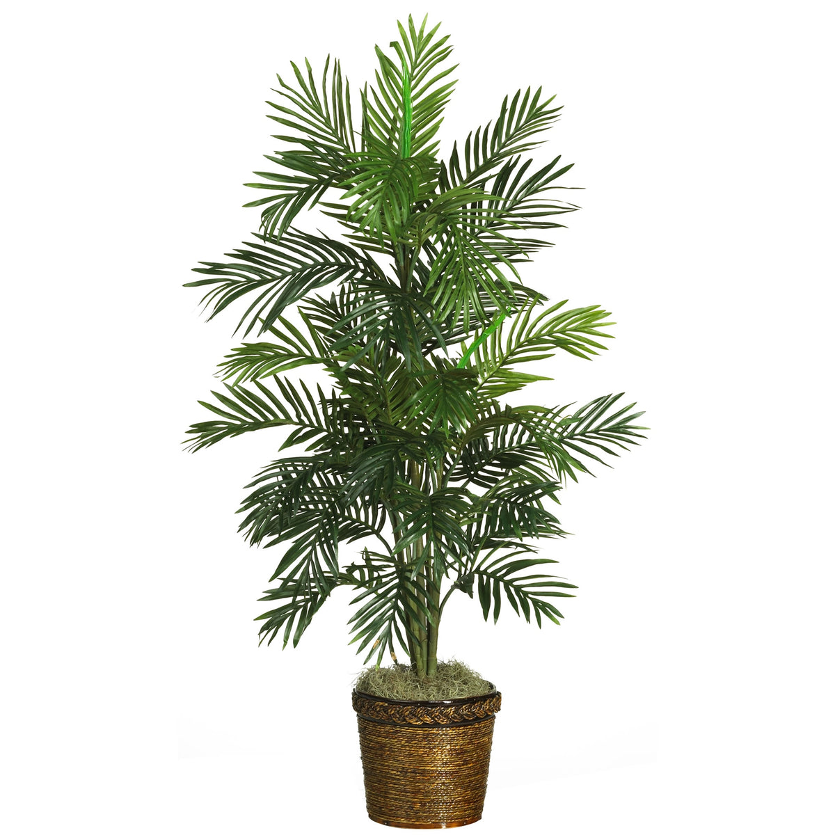 56inch Areca Tree w/Basket by Nearly Natural in Green