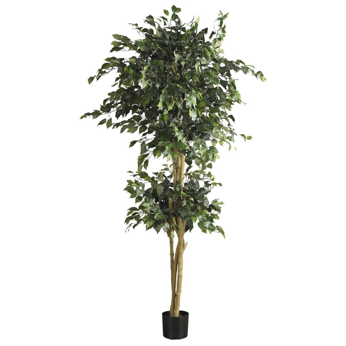 6' Double Ball Ficus Tree w/1596 by Nearly Natural in Green