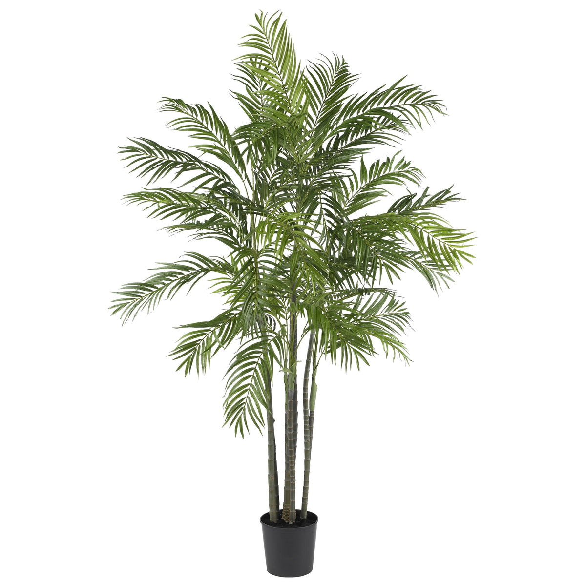 6' Areca Palm Tree x 7 w/1332 Lvs by Nearly Natural in Green