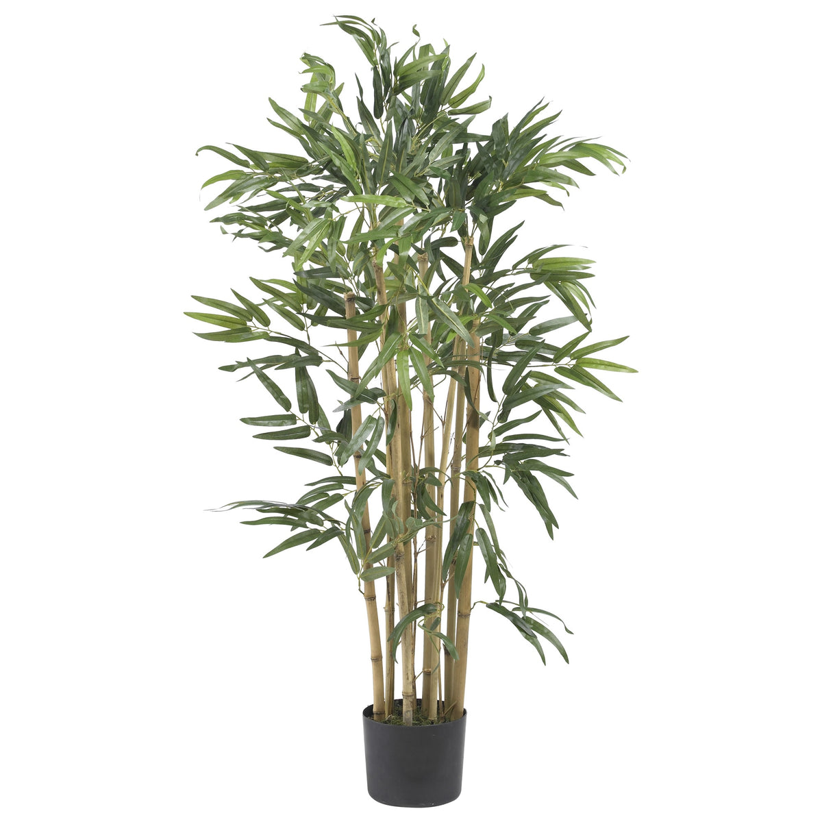 3' Multi Bambusa Bamboo Tree w/500 Lvs by Nearly Natural in Green