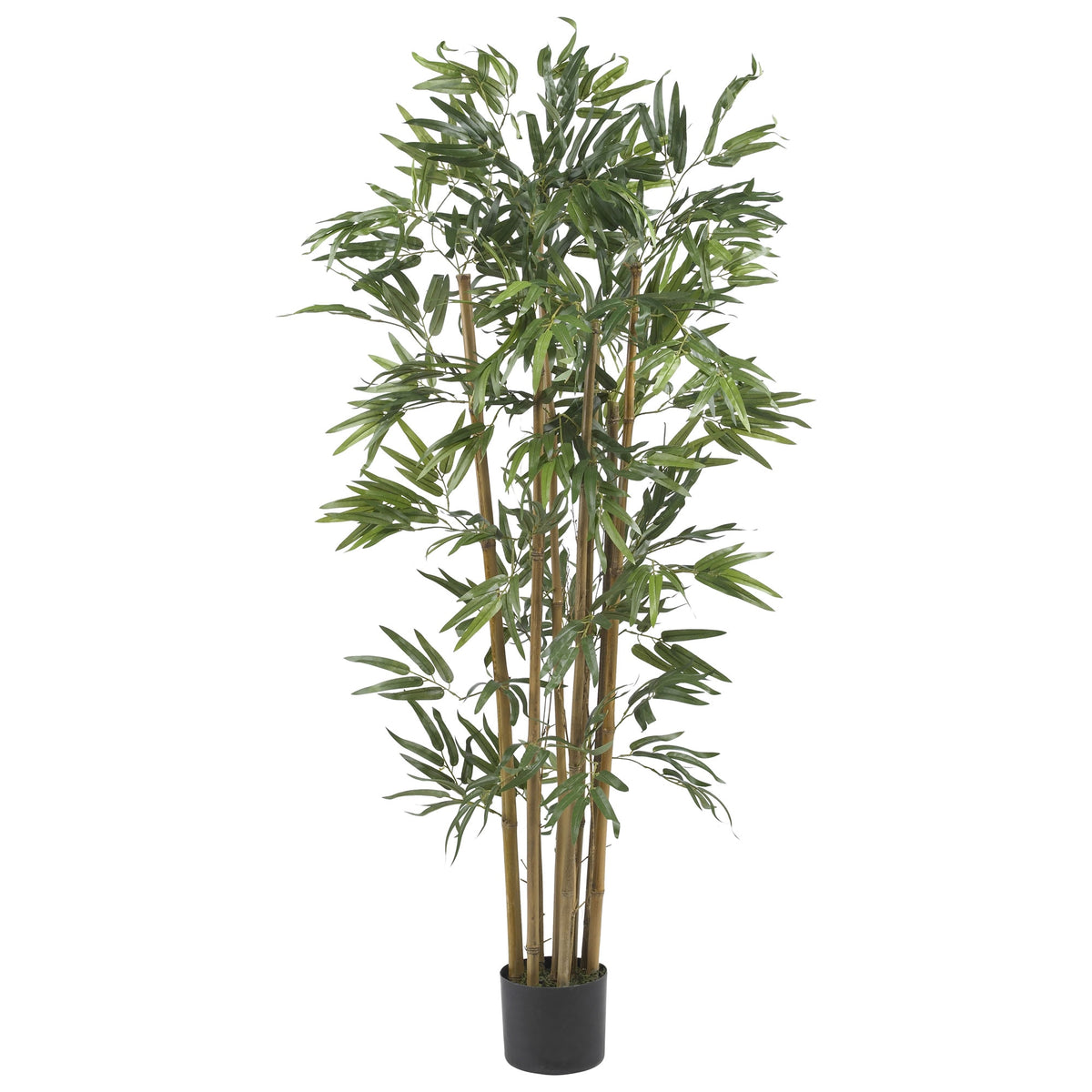 4' Multi Bambusa Bamboo Tree w/700 Lvs by Nearly Natural in Green