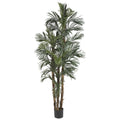 6' Robellini Palm Tree w/38 Lvs by Nearly Natural in Green