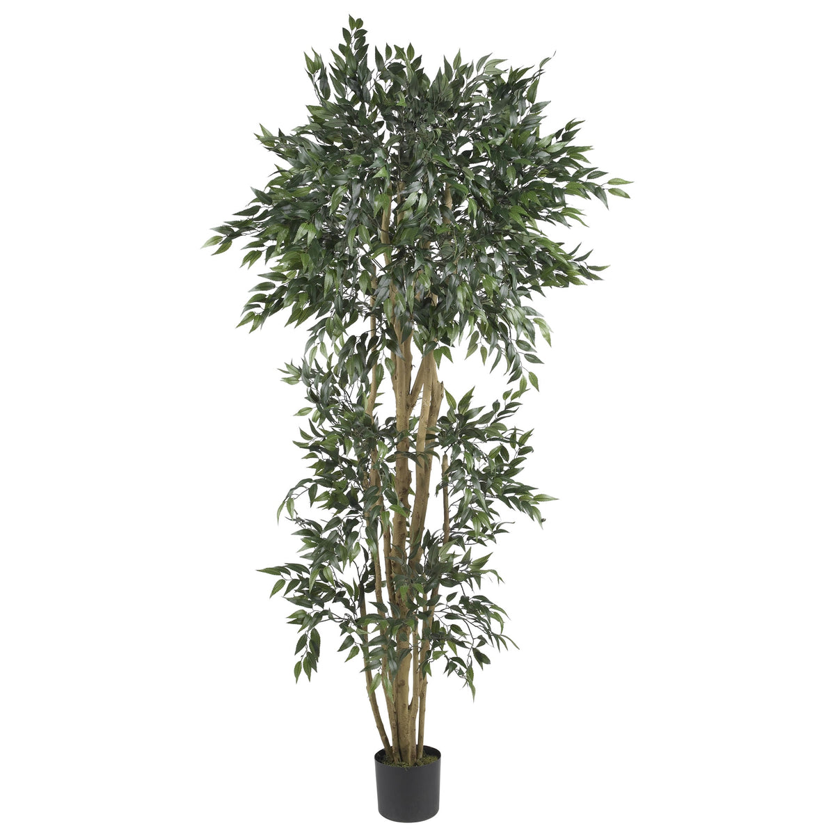 6' Green Ash Tree w/2592 Lvs by Nearly Natural in Green