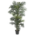 6.5' Golden Cane Palm Tree w/333 Lvs by Nearly Natural in Green