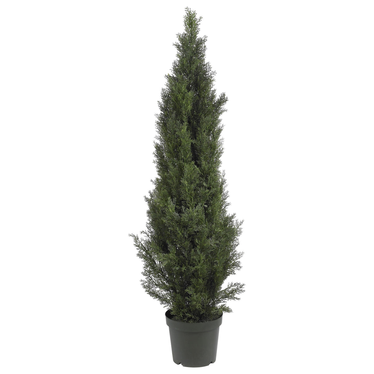 5' Mini Cedar Pine Tree w/1565 Lvs by Nearly Natural in Green