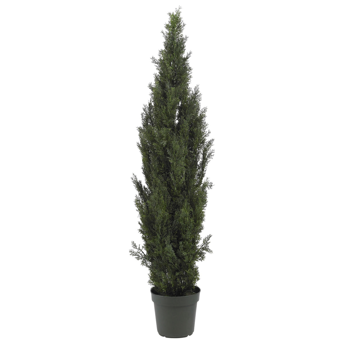 6' Mini Cedar Pine Tree w/2492 Lvs by Nearly Natural in Green
