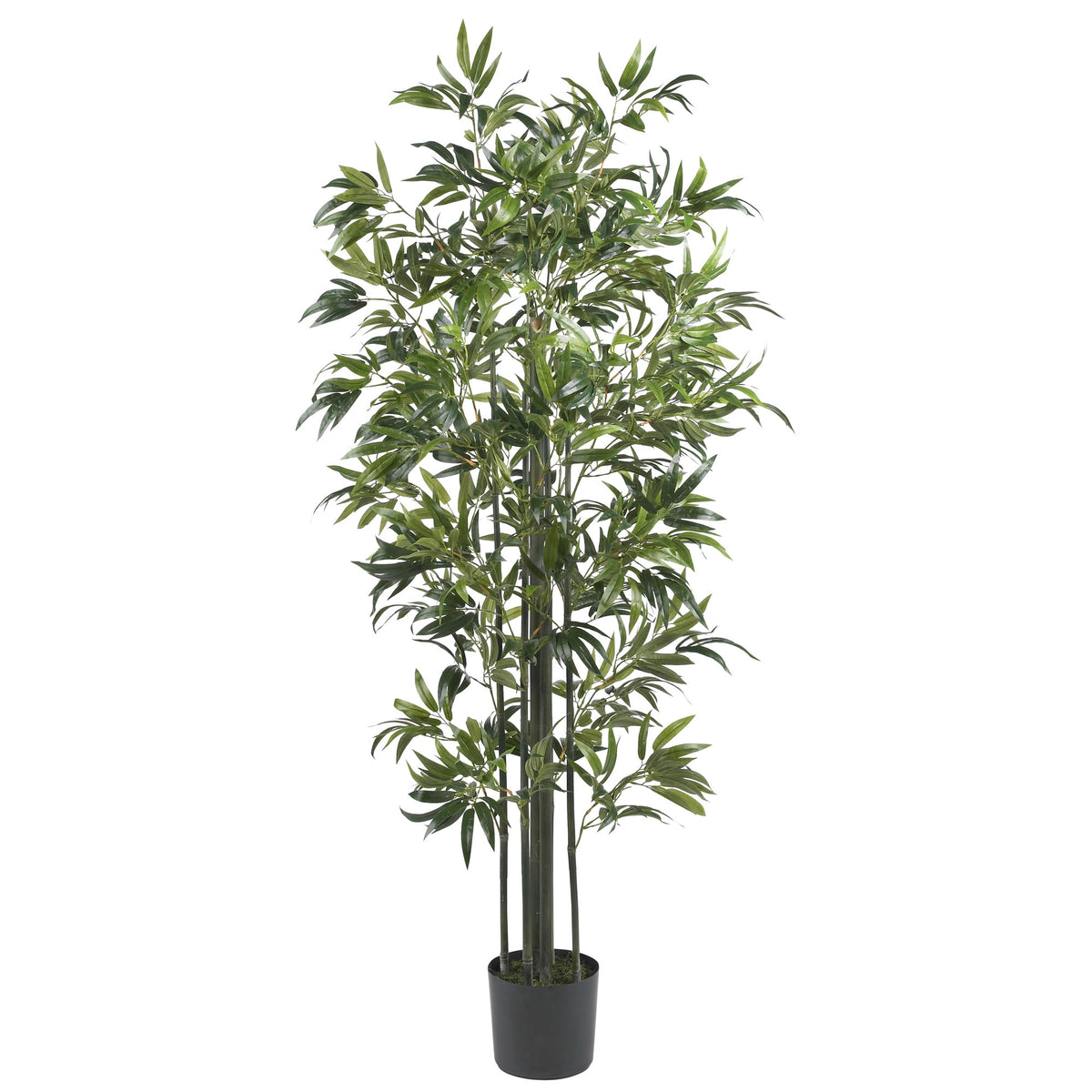 6' Bamboo Tree (Green Trunks) x 6 w/1160 Lvs by Nearly Natural in Green