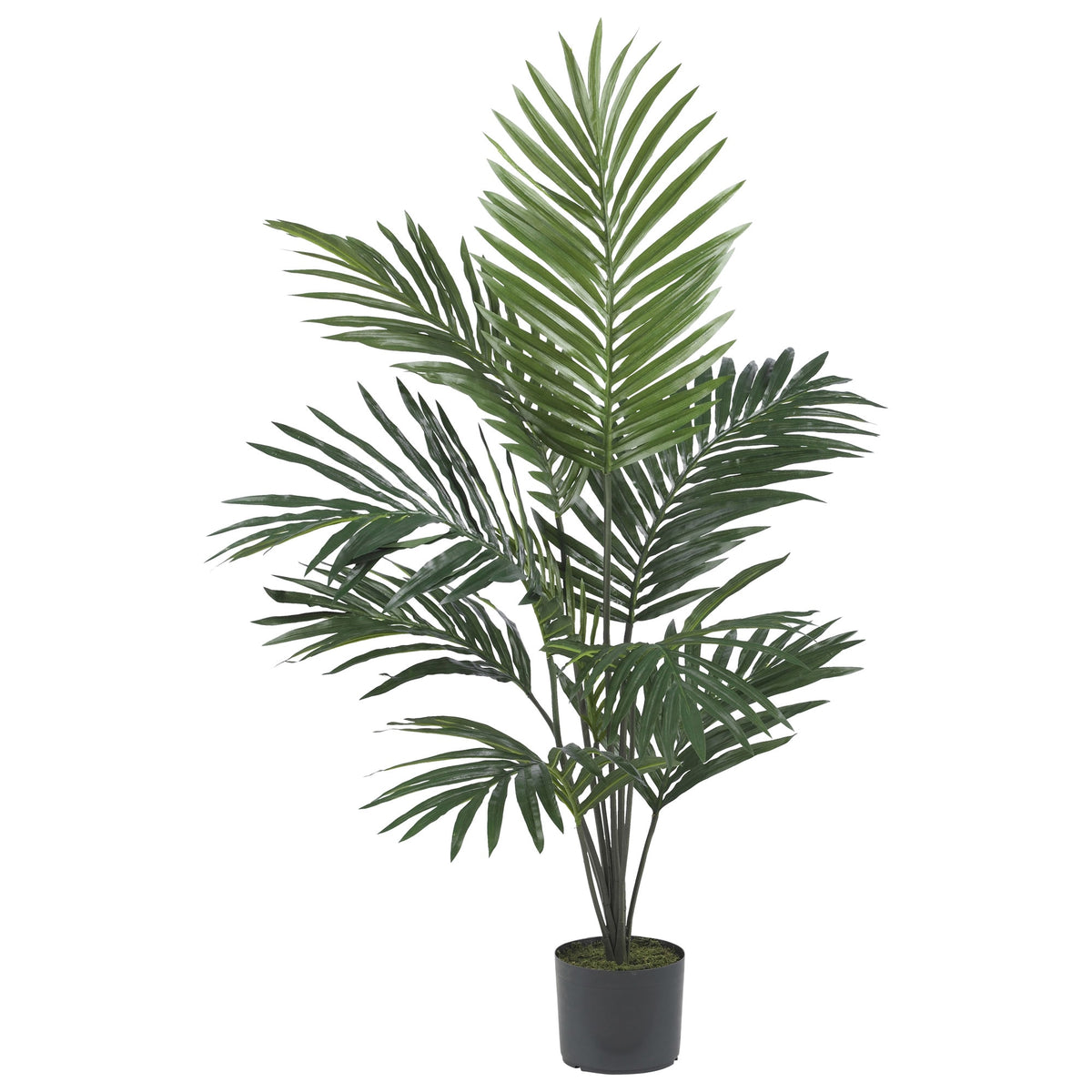 5' Kentia Palm Tree w/12 Fronds by Nearly Natural in Green