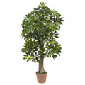 4' Schefflera Tree (Real Touch) by Nearly Natural in Green