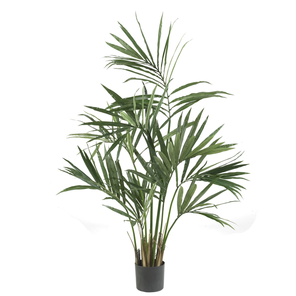 5' Kentia Palm Tree x 7 w/124 Lvs by Nearly Natural in Green