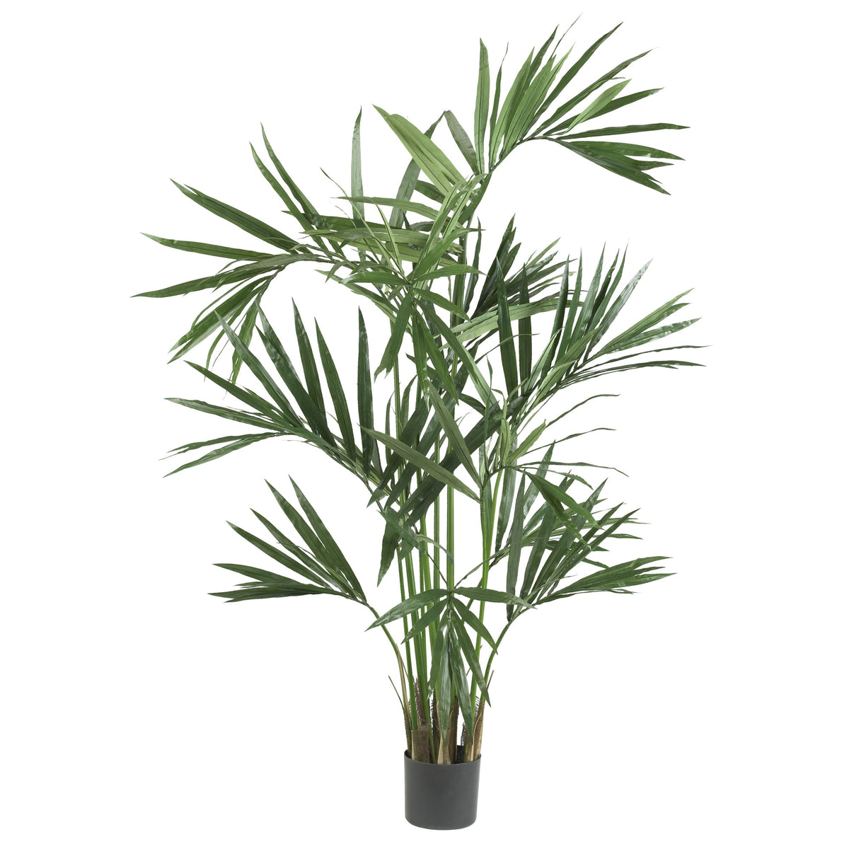 6' Kentia Palm Tree x 12 w/218 Lvs by Nearly Natural in Green