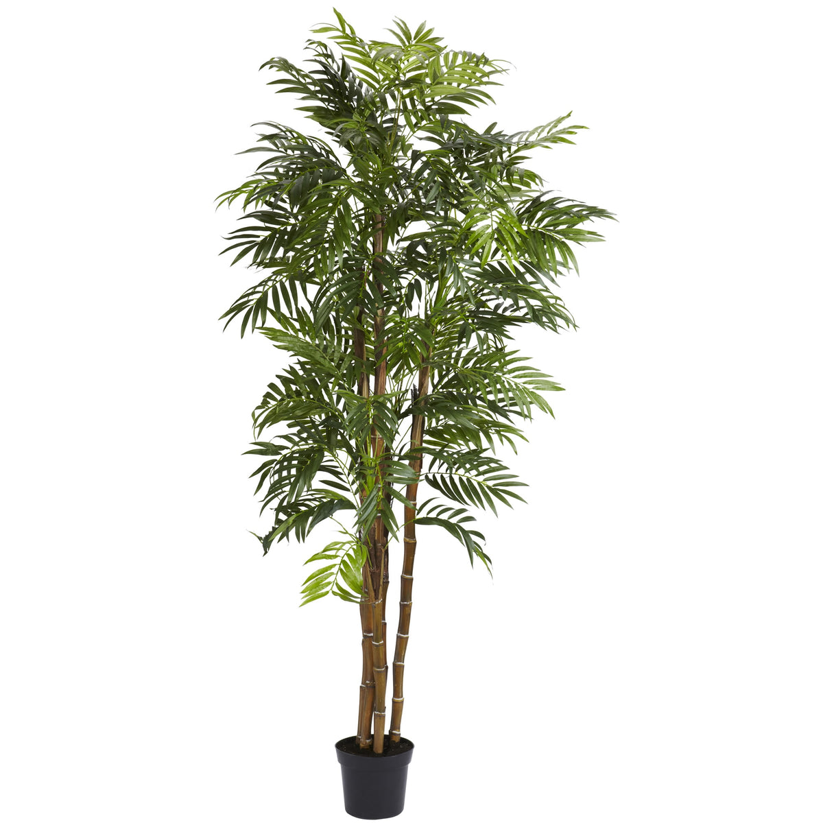 6' Bella Palm Tree w/1496 Lvs by Nearly Natural in Green
