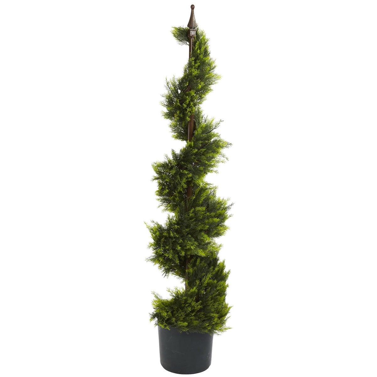4' Cypress Spiral Tree by Nearly Natural