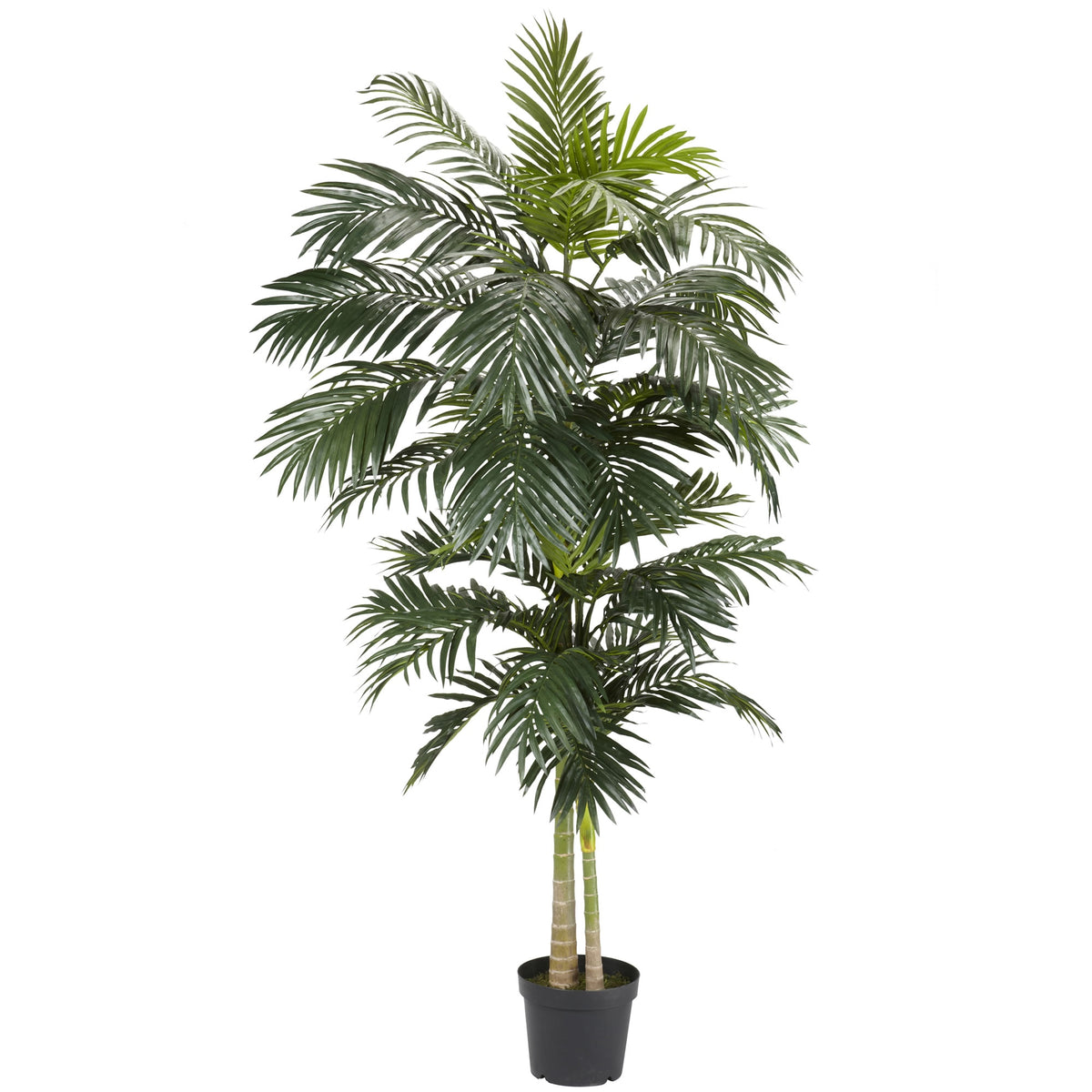 8' Golden Cane Palm Tree by Nearly Natural in Green