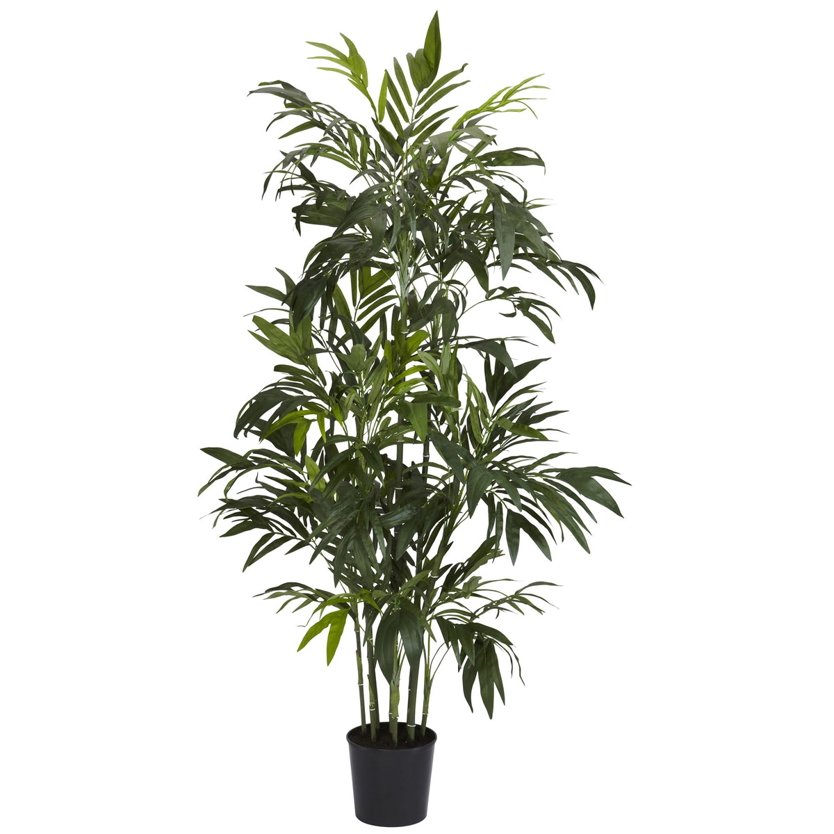 6' Bamboo Palm Tree w/606 Lvs by Nearly Natural in Green