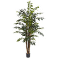 5' Bamboo Palm Tree w/690 Lvs by Nearly Natural in Green
