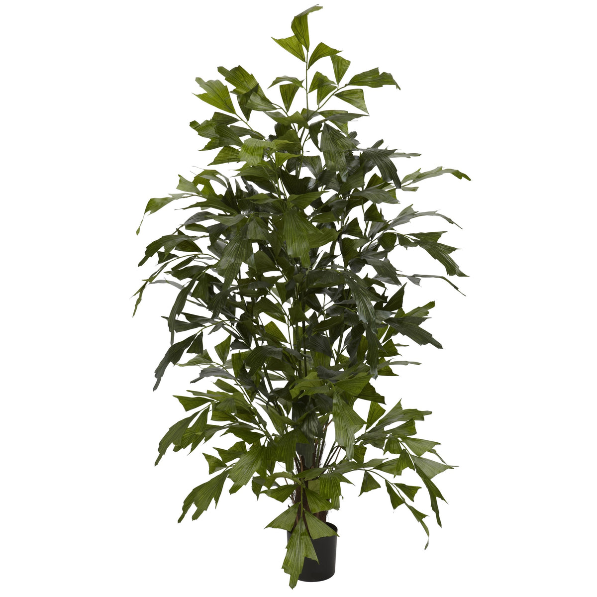 4.5' Fishtail Palm Tree w/594 Lvs by Nearly Natural in Green