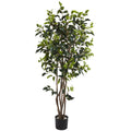 5' Ficus Bushy Tree w/780 Lvs by Nearly Natural in Green