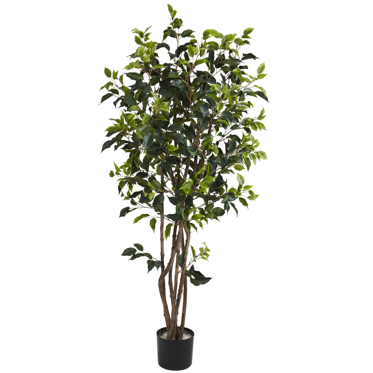 5' Ficus Bushy Tree w/780 Lvs by Nearly Natural in Green
