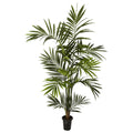 6' Kentia Palm Tree x 10/Fronds by Nearly Natural in Green