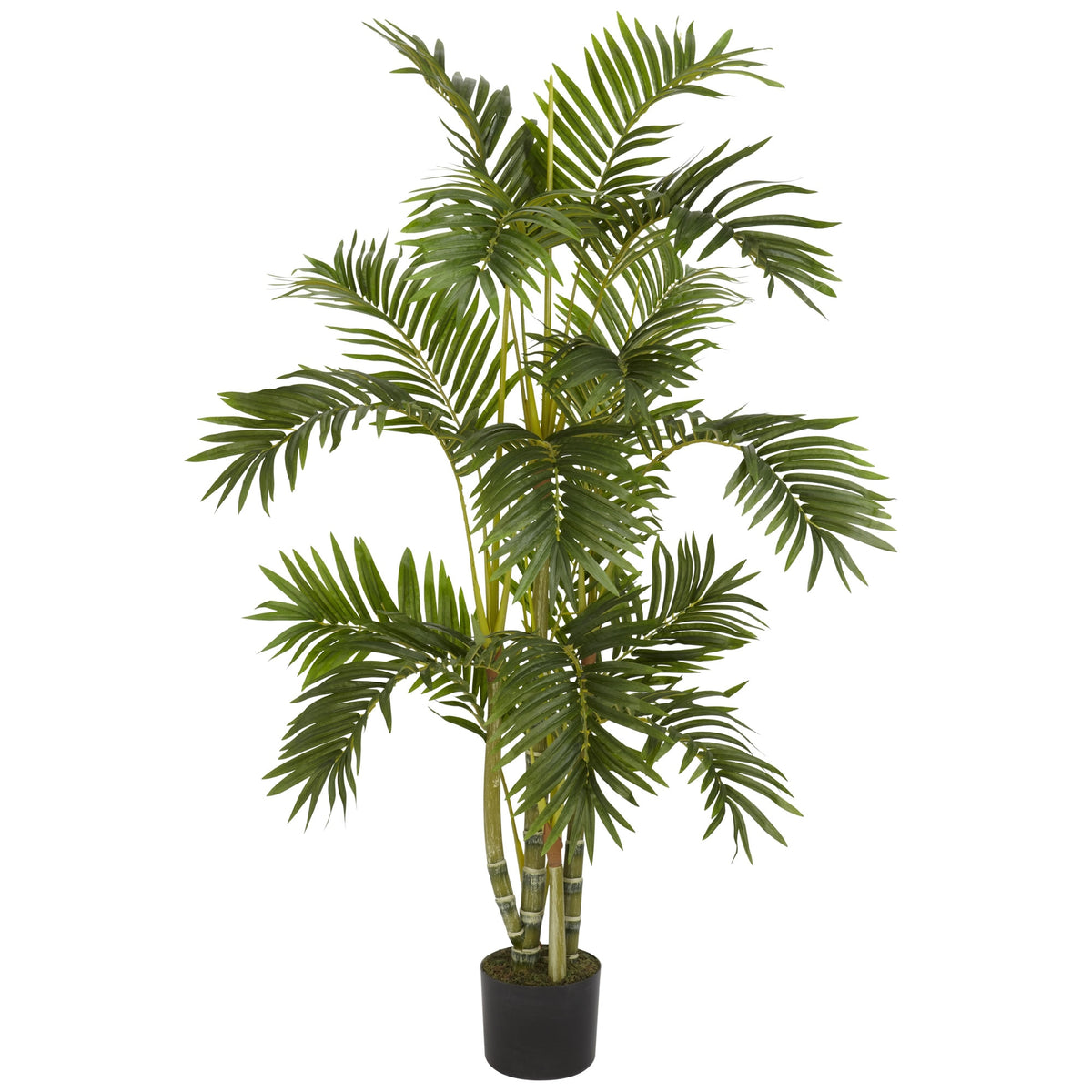 4' Areca Palm Tree w/560 Lvs by Nearly Natural in Green