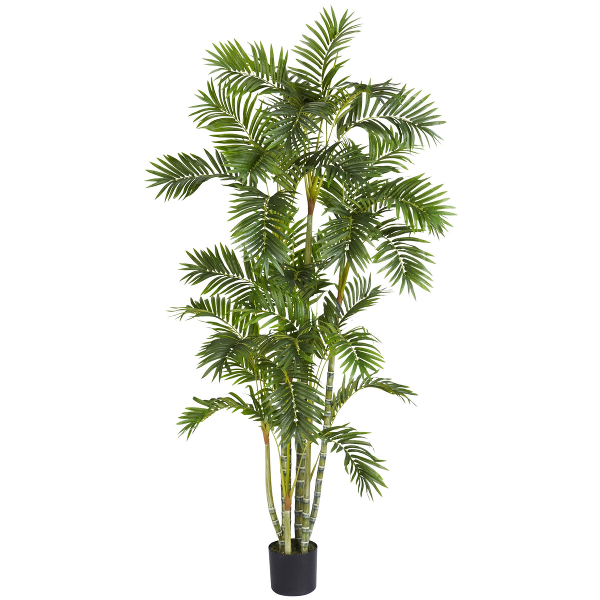 6' Areca Palm Tree w/1155 Lvs by Nearly Natural in Green