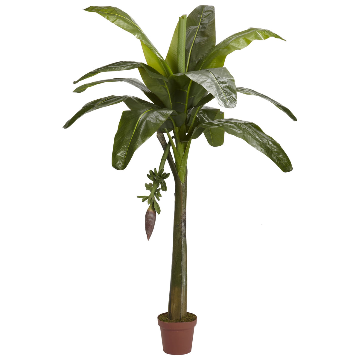 6' Banana Tree (Real Touch) by Nearly Natural in Green