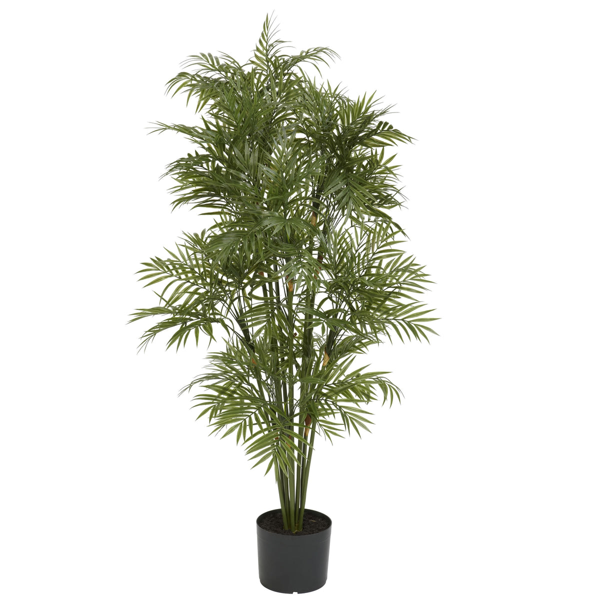 4' Plastic Parlour Palm Tree x 12 w/142 Lvs by Nearly Natural