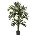 6' Kentia Tree by Nearly Natural in Green