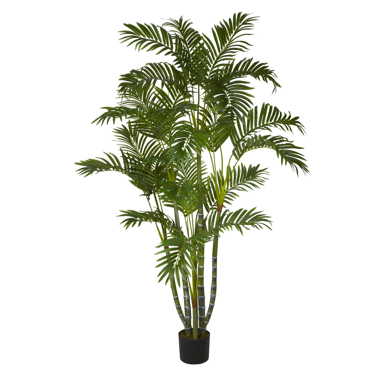5' Biggy Style Areca Tree w/840 Lvs by Nearly Natural in Green